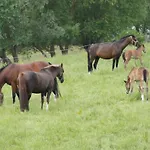 Farm At Grebiner *