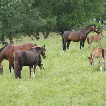 Farm At Grebiner *